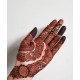 Shahzadi Kone Mehendi (halal)