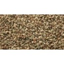 Ajwain Seeds 50g. Pkt 