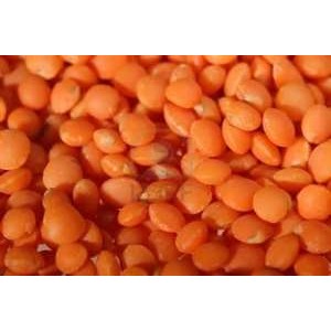 Masoor Dal/ Red Lentils (India) 