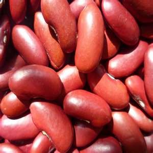 Red Kidney Beans (Rajma)  