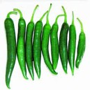 Green Chilli (Hot) 