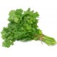 Coriander Leaf / Dhania Pata (Green) Fresh / Frozen 