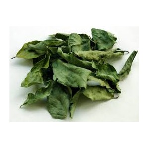 Curry Leaf / Curry Pata 50g