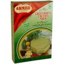 Green Mint / Pudina Powder (Ahmed)
